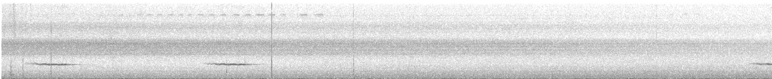 White-capped Monarch - ML608715011