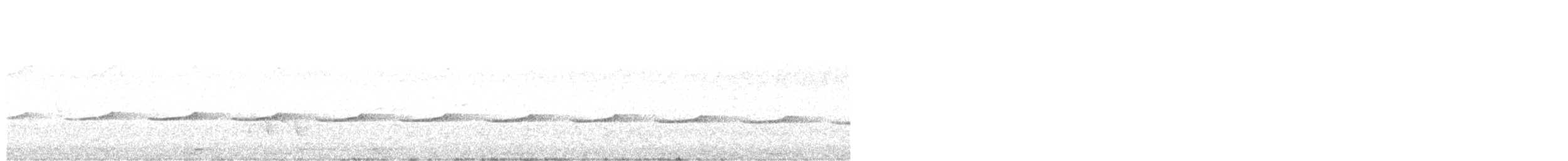 Дідрик смугастощокий (підвид plagosus) - ML608718753