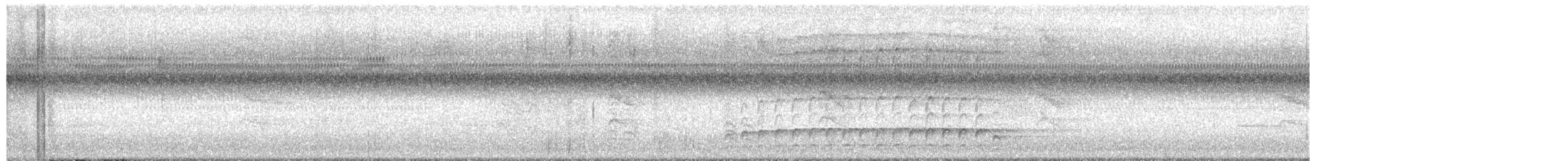 hvitbrynsvartspett - ML608719378