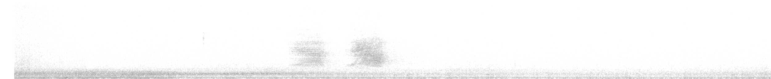 Geai de Steller (groupe diademata) - ML608724512