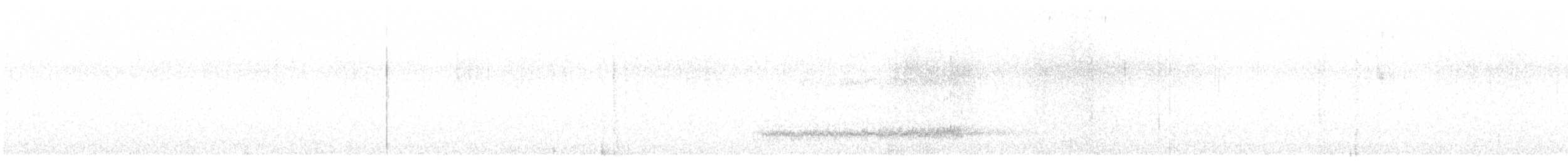 Effraie des clochers (groupe alba) - ML608728021