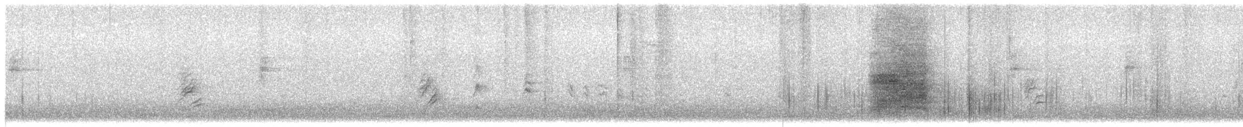 Steller's Jay - ML608732181