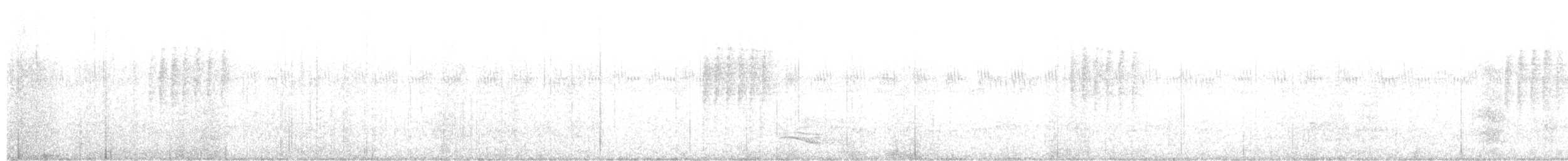 Schwarzkehl-Ameisenvogel - ML608736458