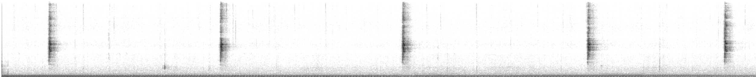 papežík modrý - ML608736700
