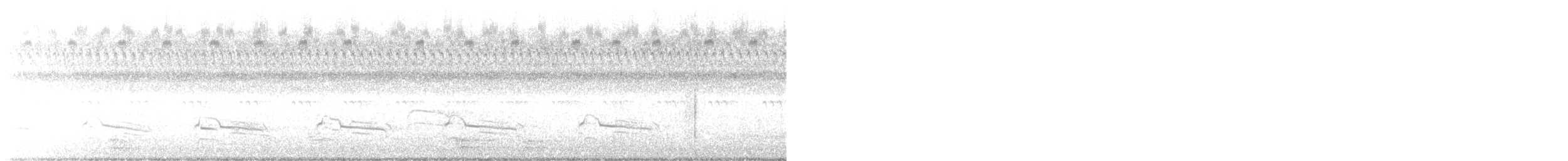 Красноплечий канюк [группа lineatus] - ML608736904
