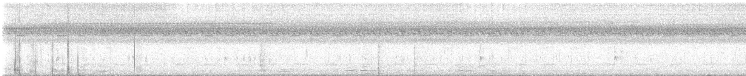 חטפית האלמון - ML608737511