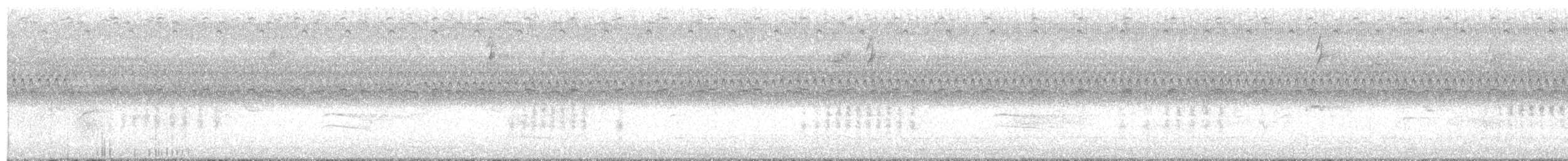 Troglodyte des marais - ML608740780