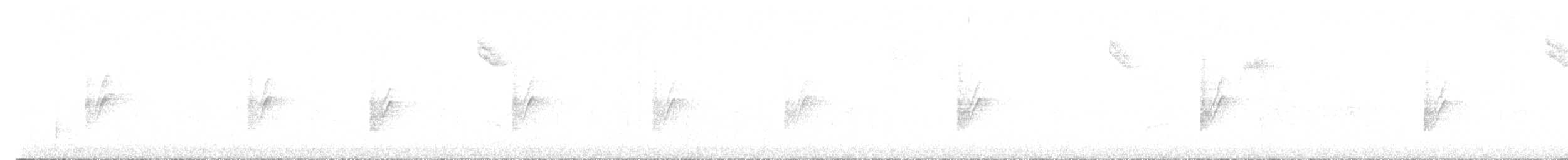Длиннохвостый крапивник - ML608741079