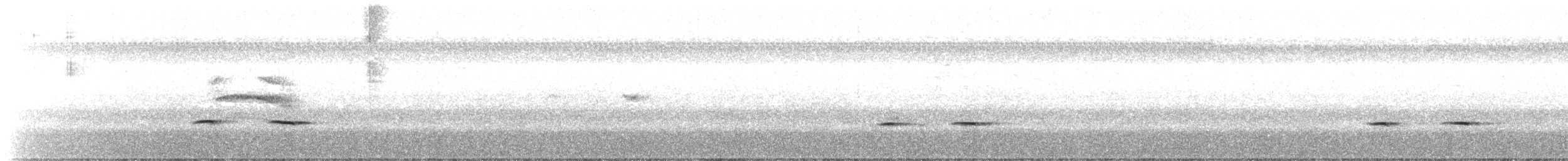 Striped Cuckoo - ML608741543