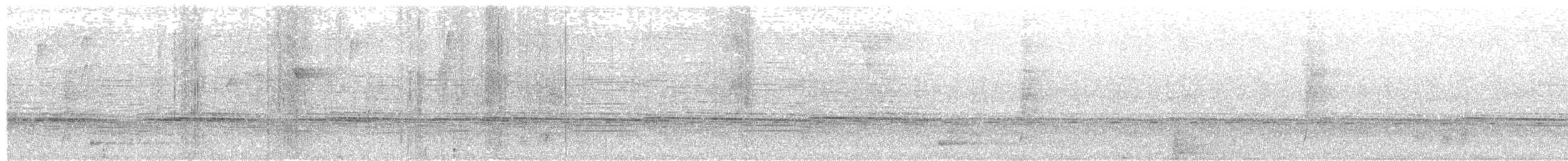 zvonovec vousatý - ML608741728