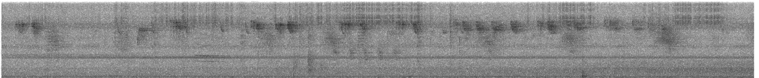 Поплітник каролінський - ML608741926