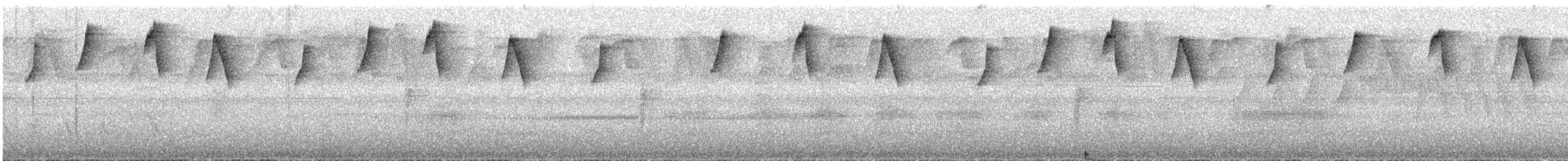 Серогорлый колибри-отшельник - ML608746556