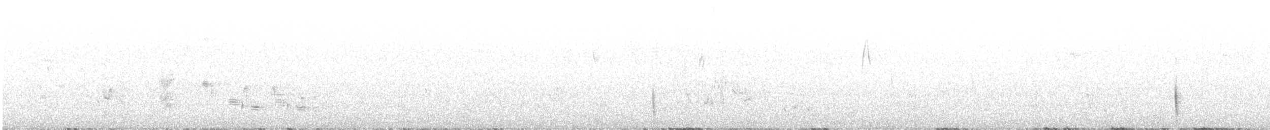 hvitpannehonningeter - ML608749577