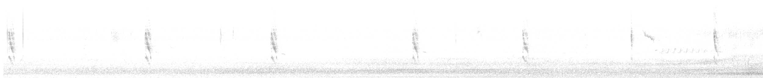 Oriole de Bullock - ML608749594