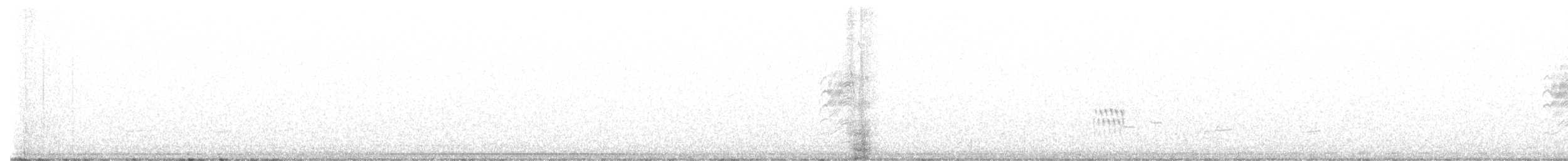 Bush Pipit - ML608753386