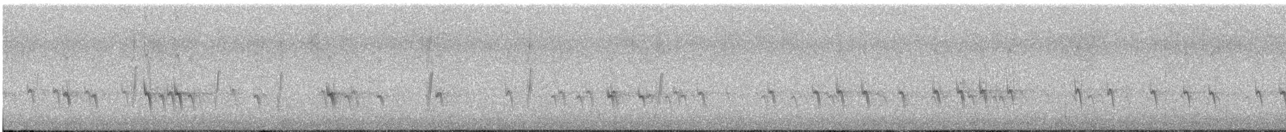 Fichtenkreuzschnabel (Typ 2) - ML608755913