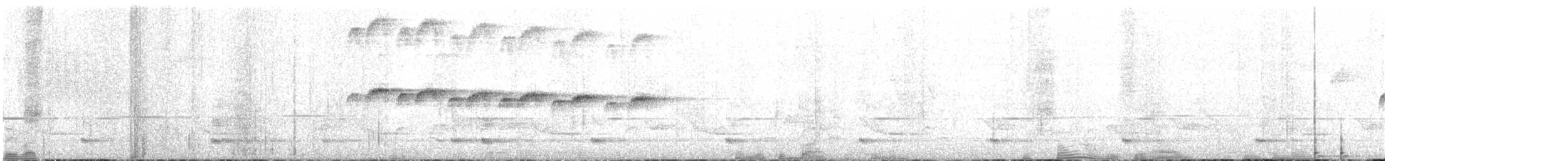 Beyaz Gerdanlı Karıncakuşu - ML608756601