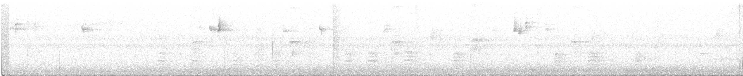 Weißbrustkleiber - ML608762491