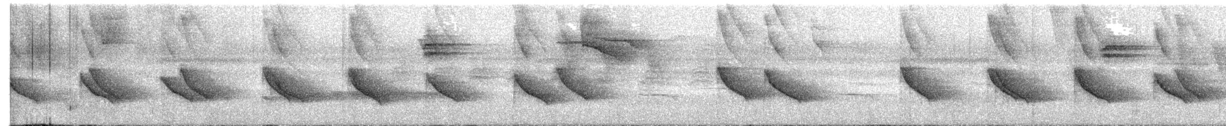 Белогорлая сорокопутовая танагра - ML608763631