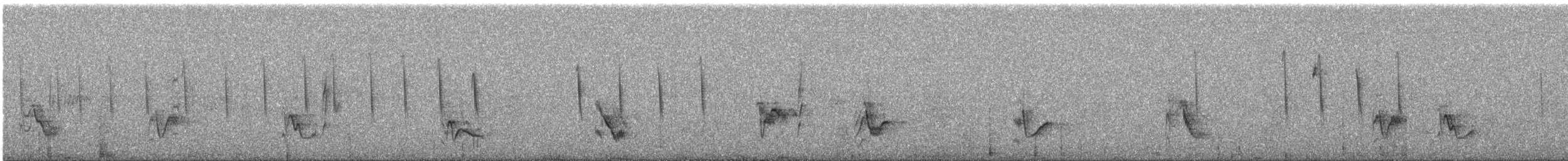 Gray Vireo - ML608764724