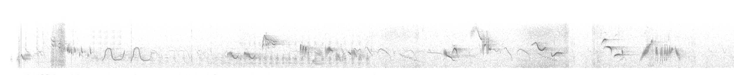 hekkskvett (galactotes gr.) - ML608768946