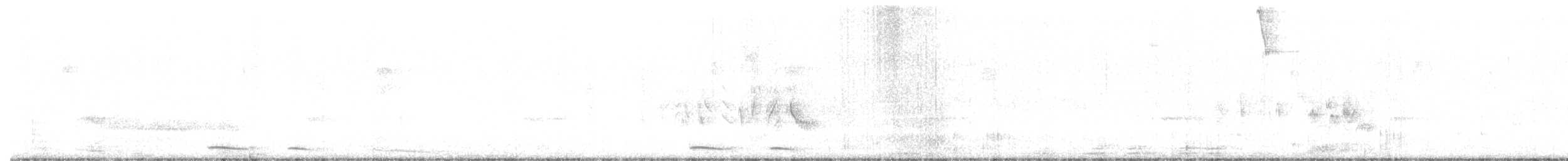 holoubek mexický - ML608773519