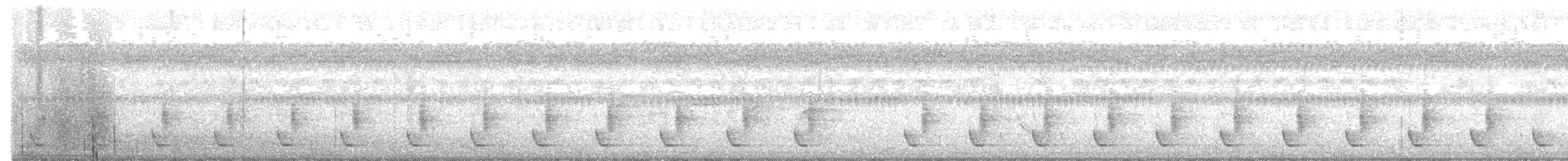 Синчівка смугастовола [група bornensis] - ML608782141