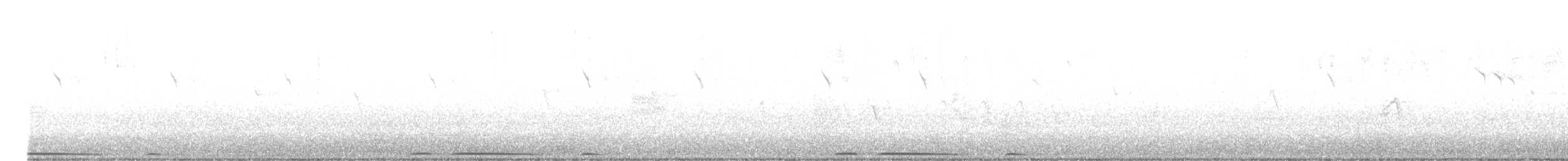 Eurasian Collared-Dove - ML608788866
