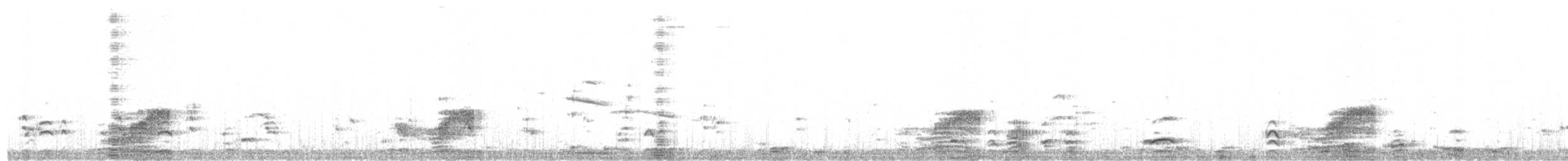 White-tufted Grebe - ML608788957