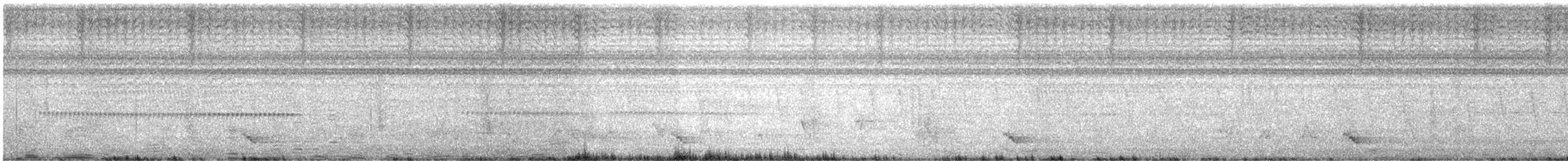 Black-tailed Oriole - ML608789733