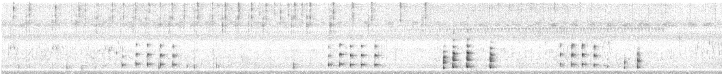 Carolinasumpfhuhn - ML608790031