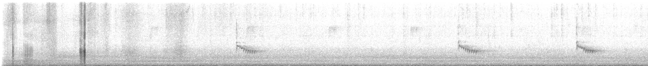 Поплітник каролінський - ML608792629