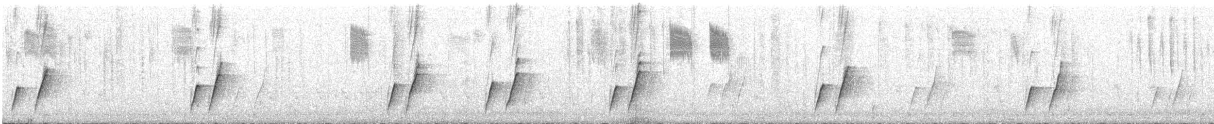 Krummschnabel-Spottdrossel - ML608800262