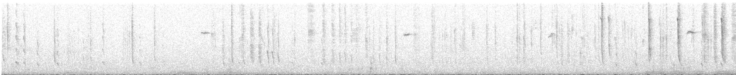 White-eared Hummingbird - ML608800838
