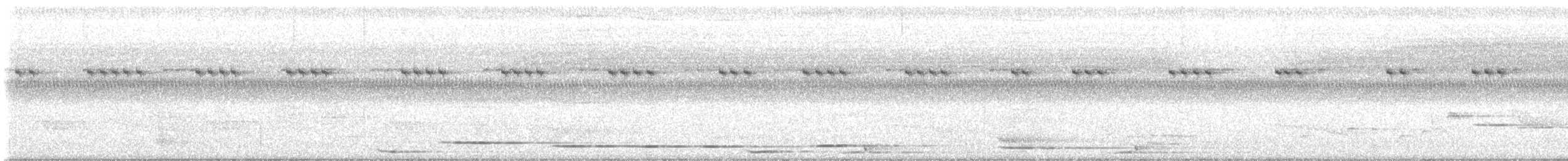 Helmlederkopf (novaeguineae) - ML608804045