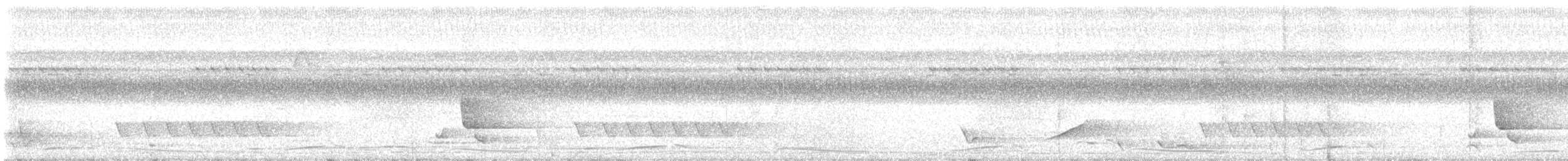 Miro à flancs noirs - ML608804758