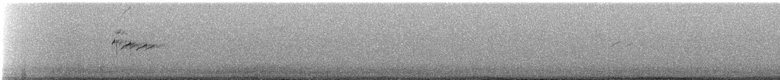 Common Sandpiper - ML608818086