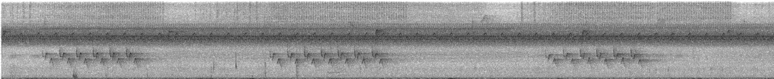 Troglodyte de Caroline - ML608821956