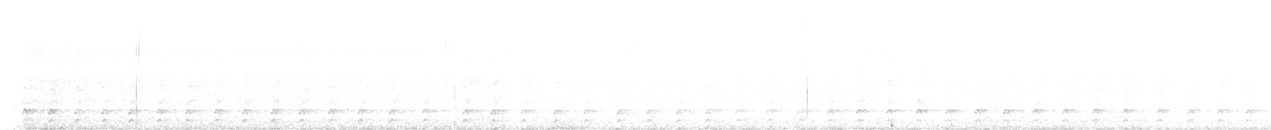 hvitbrynsvartspett - ML608827356