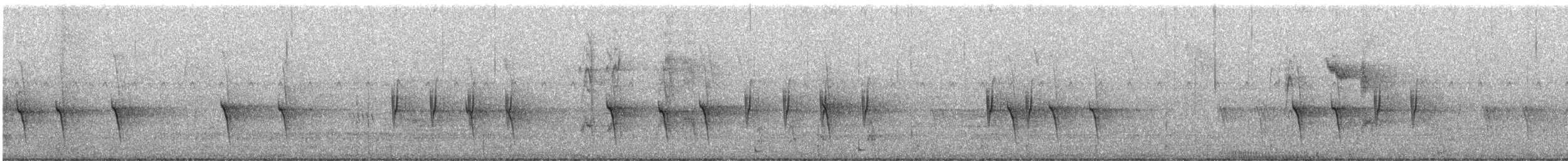 Fichtenkreuzschnabel - ML608834079