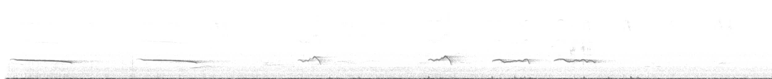 Black-eared Cuckoo - ML608848789
