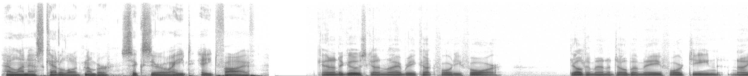 Малая канадская казарка (hutchinsii) - ML60885