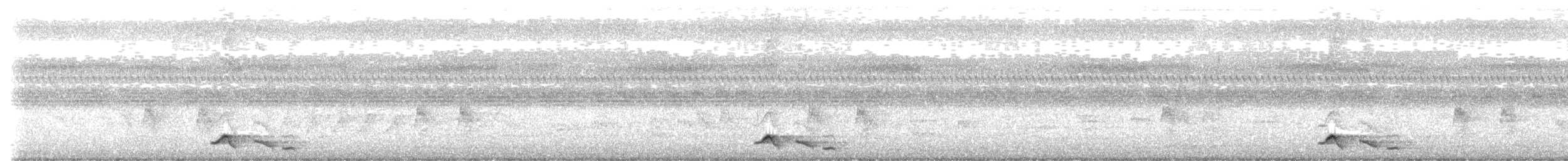 Тимелія-криводзьоб чорновуса - ML608850970