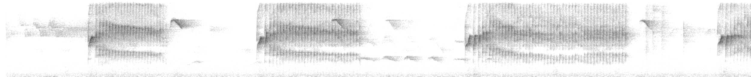 Тиран-карлик амазонійський - ML608865447