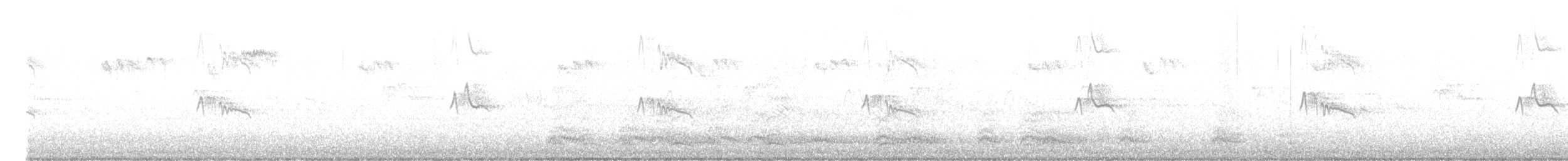 svartfibi (nigricans gr.) - ML608876597