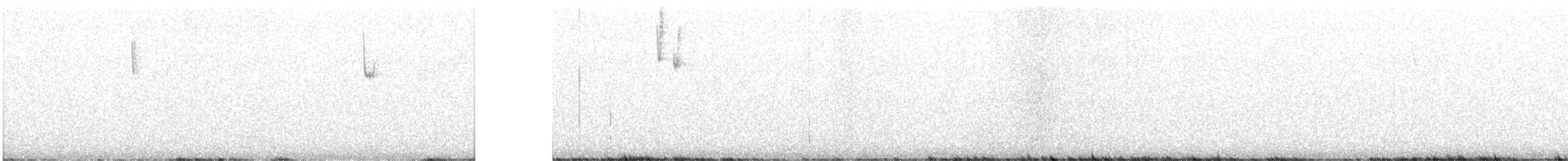 Юнко сірий [група oreganus] - ML608878455