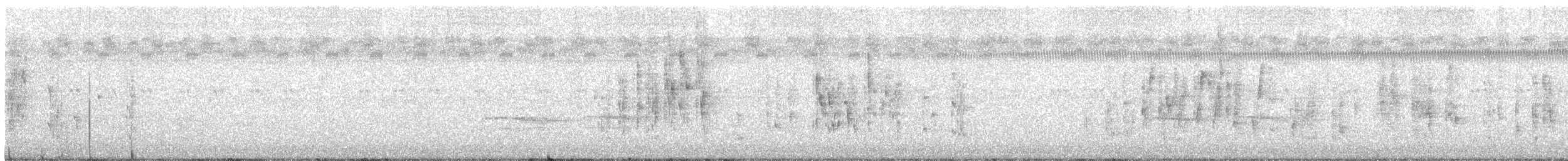 Troglodyte des marais - ML608885528