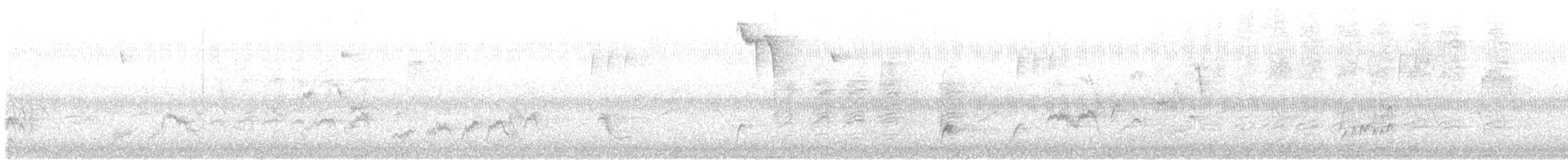 Дрізд-короткодзьоб Cвенсона - ML608891747