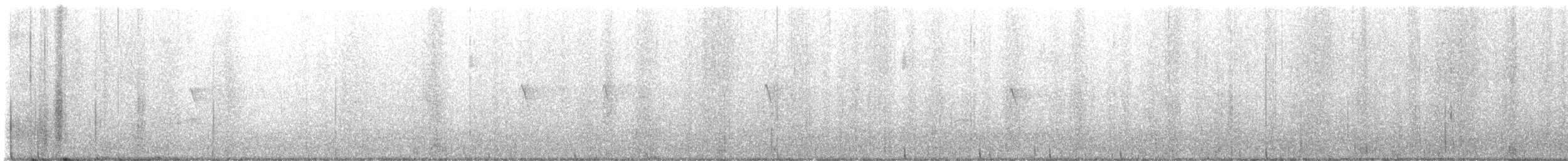 new world oriole sp. - ML608892573
