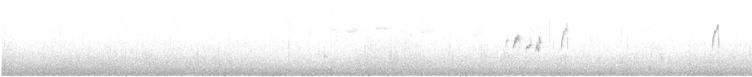 Rock Pipit - ML608894370